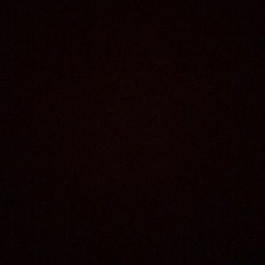 Meet your Posher, Ally